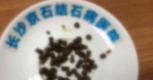 男子腹部剧痛入院以为是胃病 医生检查后结局太意外