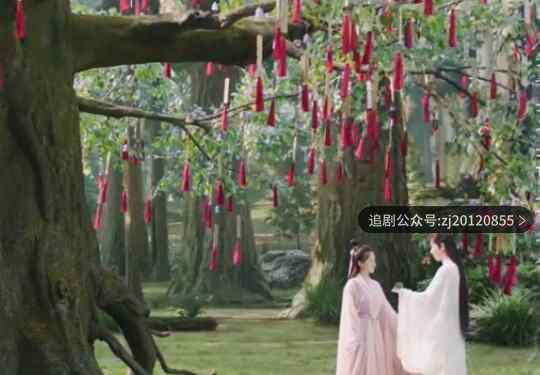 琉璃美人煞全集免费观看 完整版在线黑蚂蚁播放
