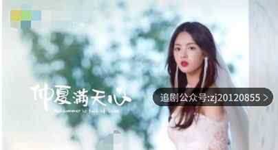 仲夏满天心电视剧免费观看 24集高清在线播放