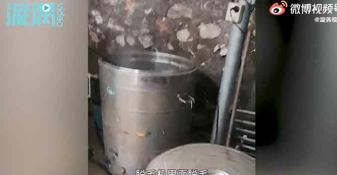 画面曝光！广西柳州市场现宰杀活猫一条街 现场棒杀活猫开水褪毛扒内脏