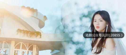 仲夏满天星电视剧全集免费观看 1-24集高清在线观看