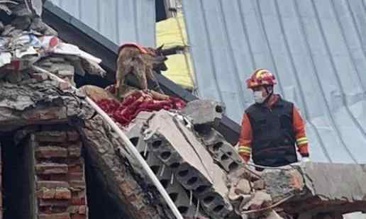 哈尔滨一仓库坍塌至少7人被困 现在情况怎么样了