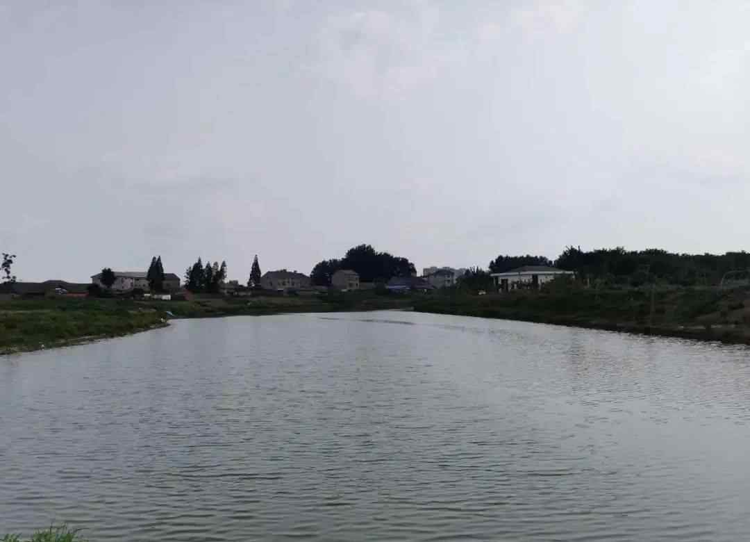 王开新 护一河碧水，绘幸福画卷！