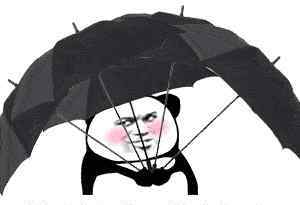 长春未来一周天气 快回家，小心大雨“拍了拍”！未来一周“天气小票”已打印完毕