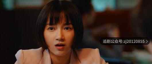 二十不惑电视剧在线观看 全集资源黑蚂蚁影院