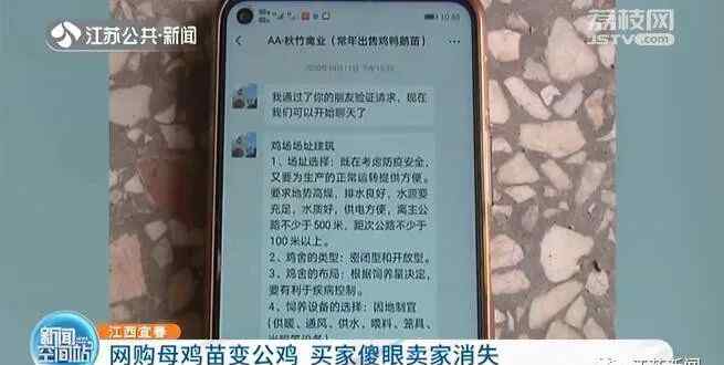 江西一男子网购300只母鸡苗 几个月后傻眼了：全是公鸡？