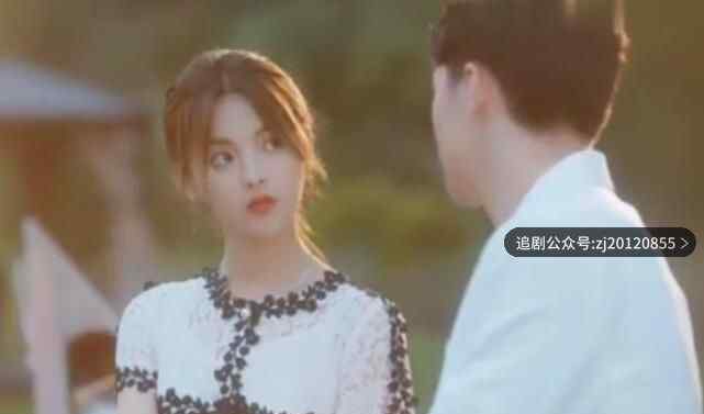 仲夏满天星电视剧免费观看 西瓜影院全集抢先看