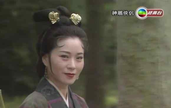 武侠同人小说 被同人小说扭曲的金庸女侠们文章配图