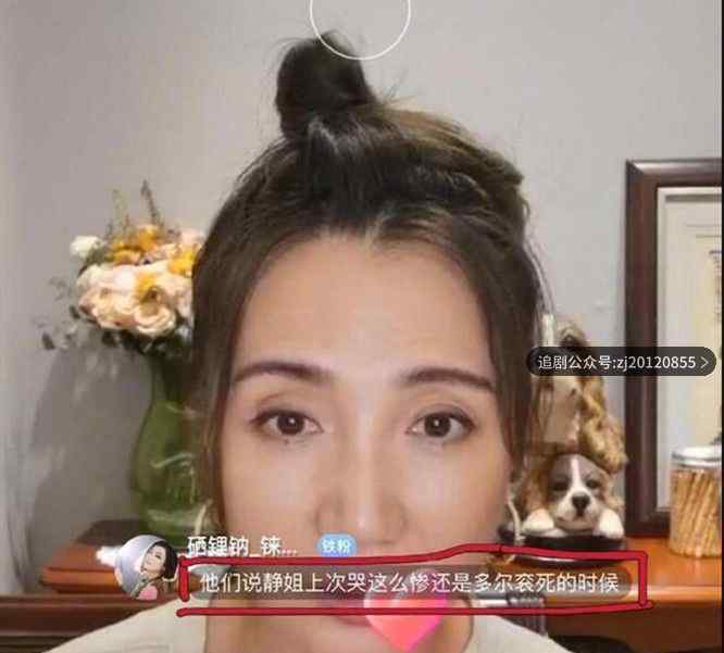宁静上次哭这么惨还是多尔衮死 宁静说自己变母了是什么意思