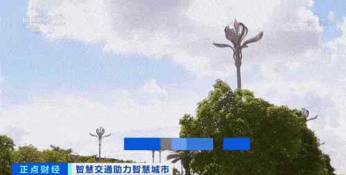 风口 千亿级大市场！这种“杆”打开新风口，你的出行将迎来新便利→文章配图
