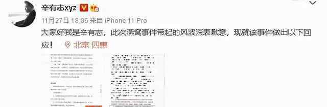 辛巴被立案调查或判15年有期徒刑 究竟发生了什么