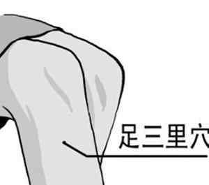 足三里的准确位置图片 足三里怎么找 足三里的准确位置图