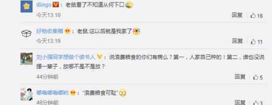 吉林农民用2万个玉米盖黄金屋 他是怎么做到