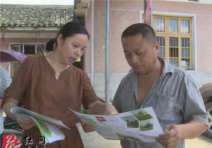 靖州新闻网 靖州：农机安责险 为农机手撑起安全“保护伞”