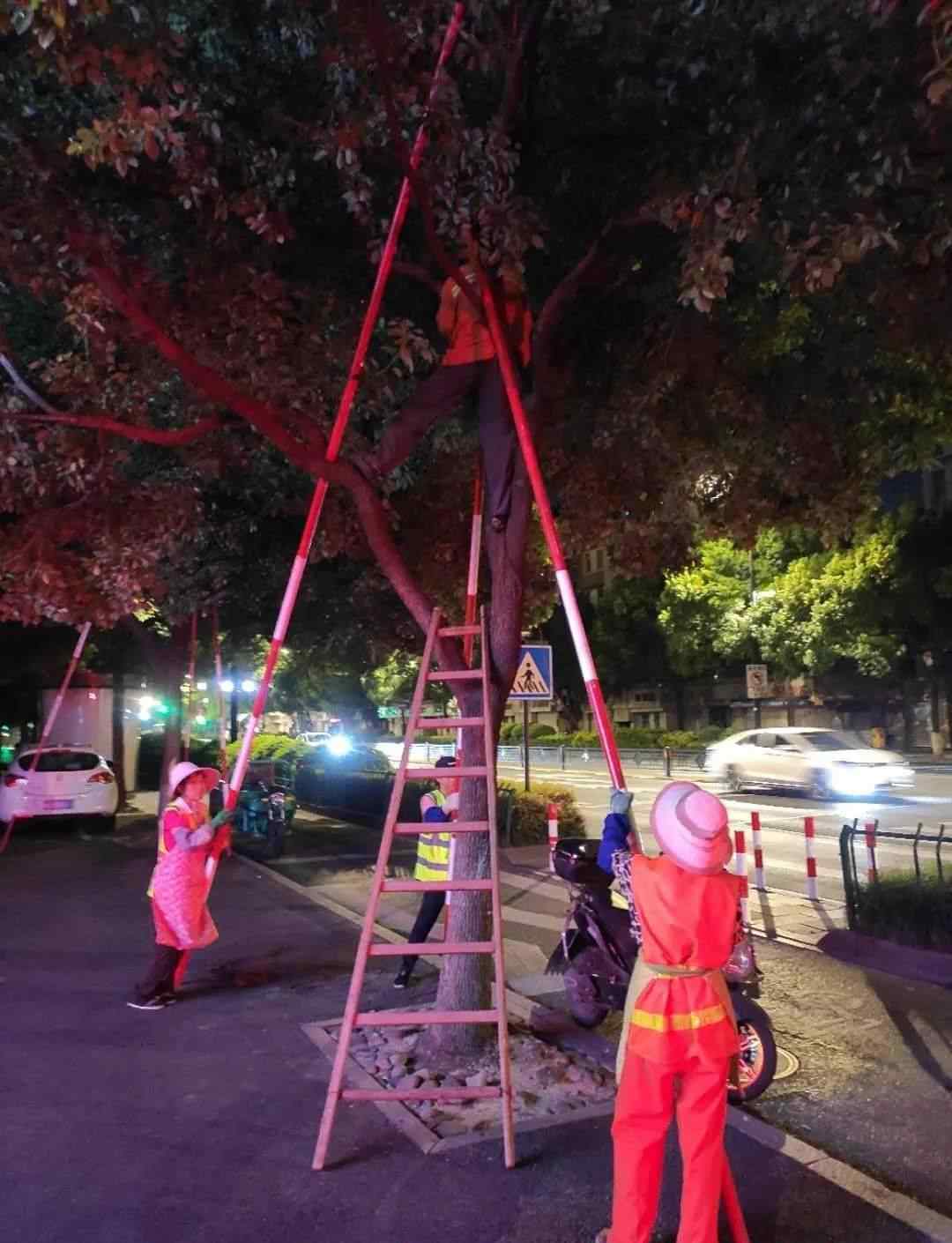 ca1707 台风“黑格比”逼近！预计傍晚前后穿过杭州东部！机场部分航班取消