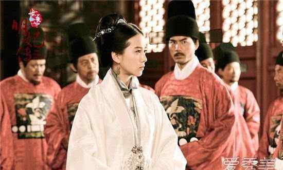 电视剧女医明妃传剧情介绍 《女医明妃传》分集剧情介绍电视剧全集