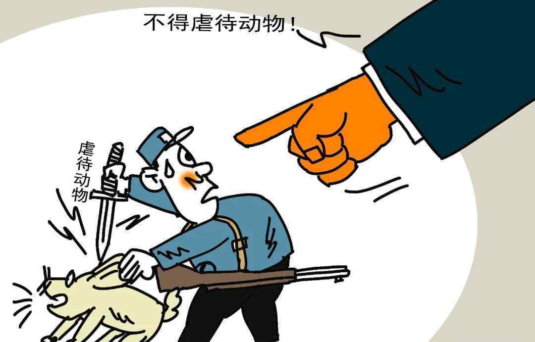 虐杀动物兜售视频成地下产业链 到底发生了什么