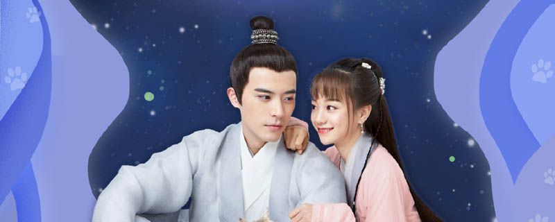 我在大理寺当宠物原着小说是什么