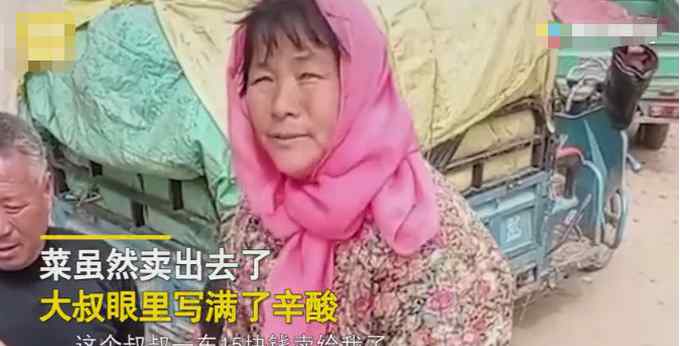 农民夫妻1300斤菠菜卖了15元 小贩：质量一般 引网友争议