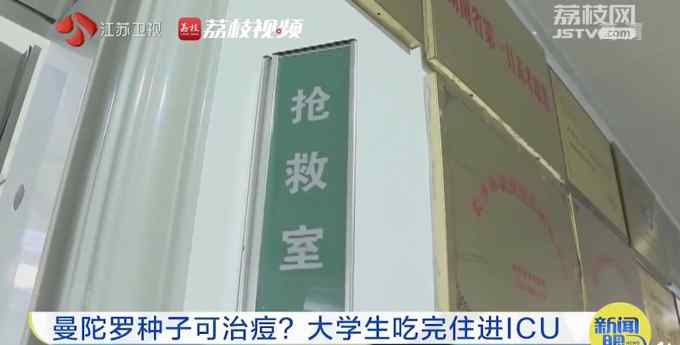 大学生吃曼陀罗种子祛痘住进ICU 医生：食用3粒就有死亡风险