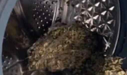 重庆一男子在家洗衣服时发现不对劲 打开洗衣机瞬间懵了