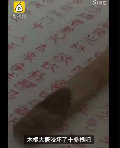 咬木棍写小说残疾女孩破格入作协 到底发生了什么