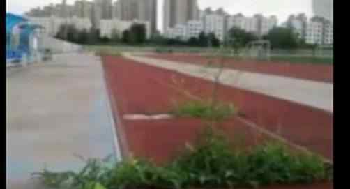 燕山大学暑假操场长出西瓜 到底发生了什么