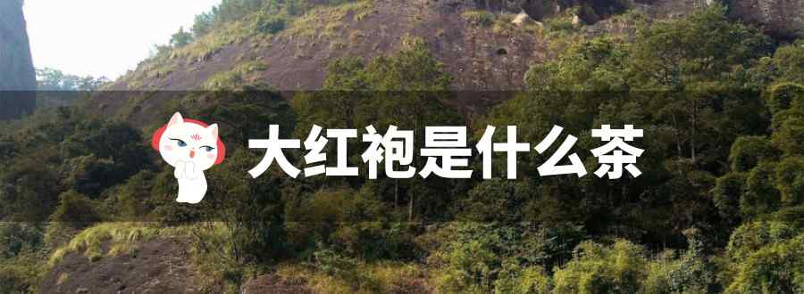 大红袍是什么茶