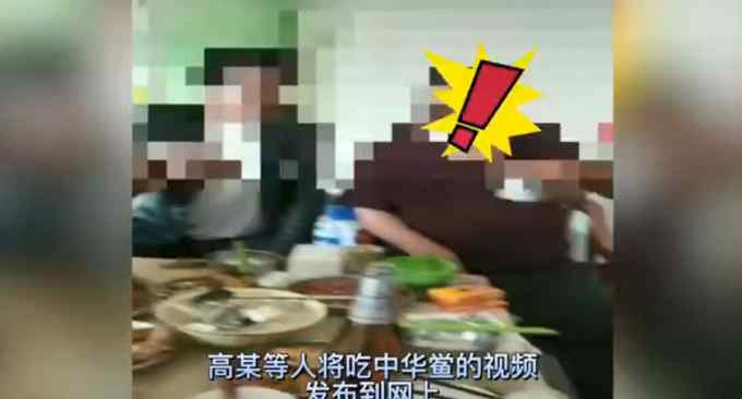 5名男子用中华鲎下酒 把国家二级重点保护动物当下酒菜？刑拘！