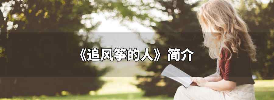 追风筝的人简介