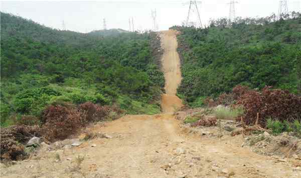 风雨坎坷17载 东莞观音山凤凰涅槃再出发