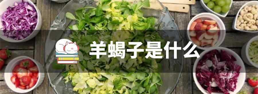 羊蝎子是什么