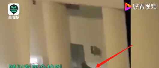 莫斯科突发枪击案  今日最新:已至三人死亡具体情况是
