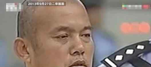 王书金案重审仍是死刑 回顾案情经过