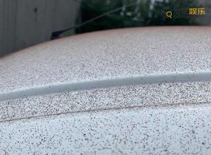 巧克力雨 瑞士小镇下起巧克力雨 网友直呼天降美食现实版有点梦幻