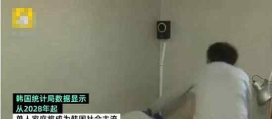 单人家庭将成主流是什么情况单人家庭是什么意思