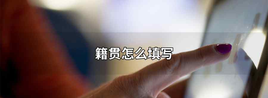 籍贯怎么填写