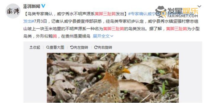 龙吟 贵州山中龙吟为鸟类发出声源 虎啸龙吟其实都是合成的