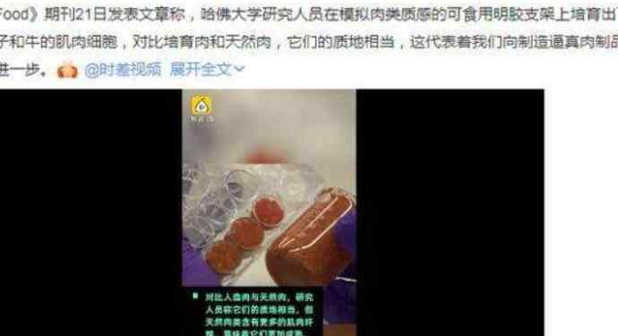 哈佛 哈佛造出人造兔肉 人造兔肉是怎样的跟真肉有什么差别
