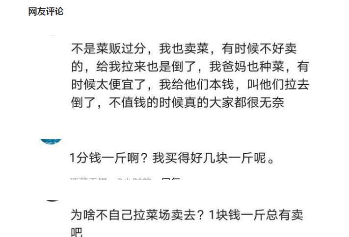 农民夫妻1300斤菠菜卖了15元 眼里写满辛酸 究竟是怎么一回事?