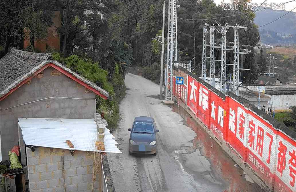 两男子为解馋毒杀10条狗 一条价值3000元的马犬死在路上