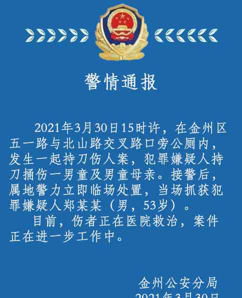 突发！大连一对母子放学路上被人在公厕持刀捅伤 警方通报！