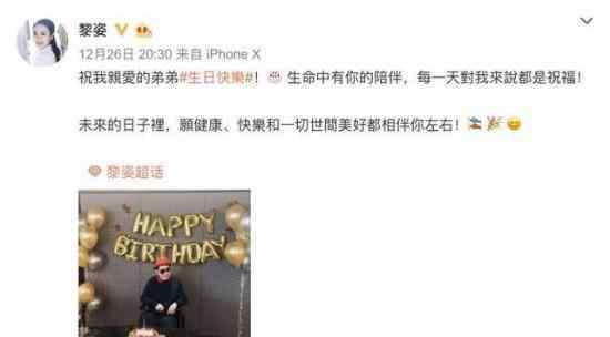 黎姿为弟弟庆生 黎姿弟弟是谁怎么庆生的