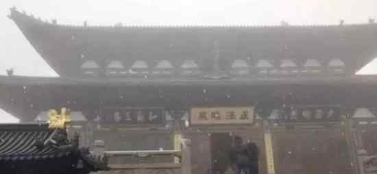 杭州下雪  今天，刚刚，杭州下雪了（图）