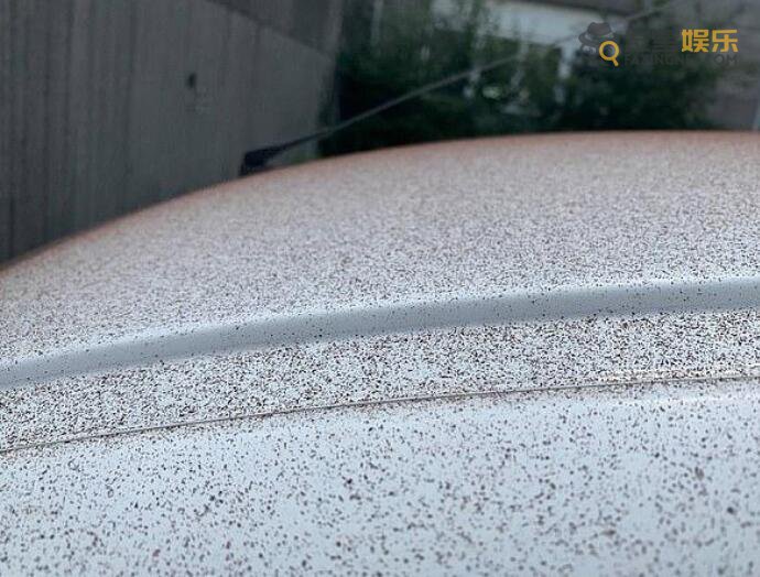 巧克力 瑞士小镇下起巧克力雨 这些巧克力雨可以吃吗网友表示想舔
