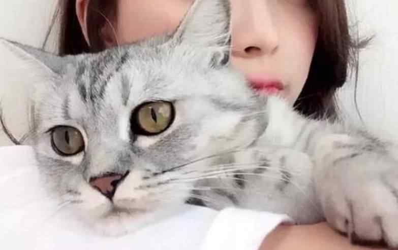 十个约定 我和猫咪的十个约定，第一个就让人泪奔！
