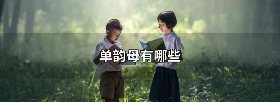 单韵母有哪些
