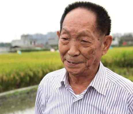 袁隆平说粮食优质高产我们做到了 到底是怎么做到