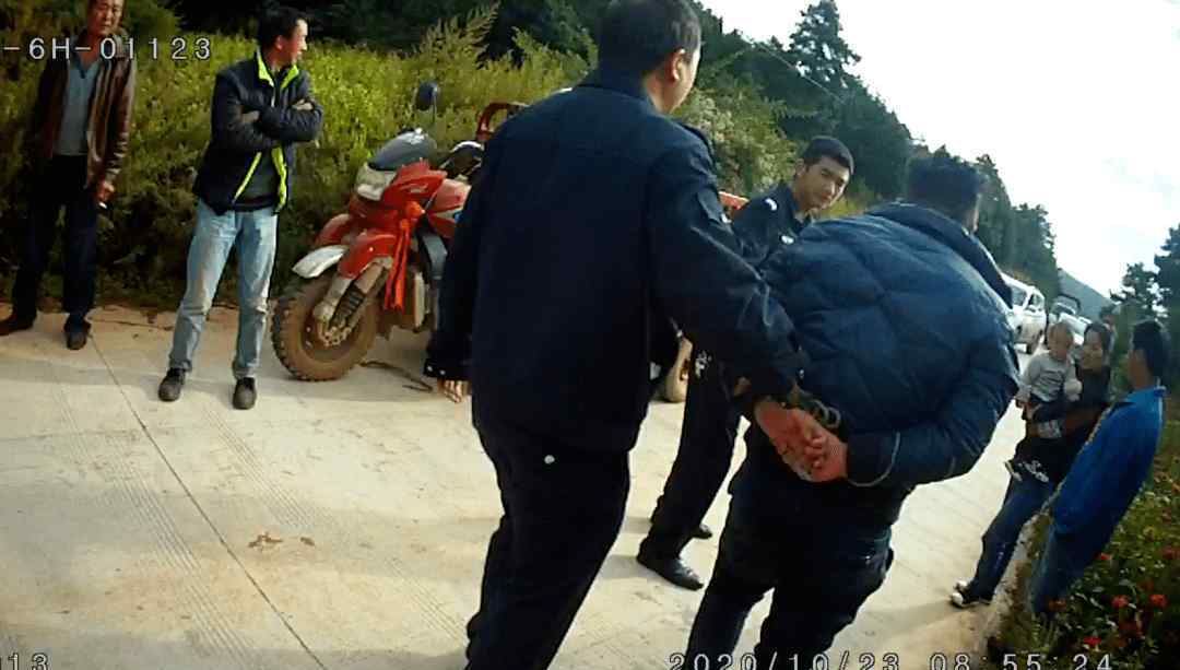 两男子为解馋毒杀10条狗 一条价值3000元的马犬死在路上