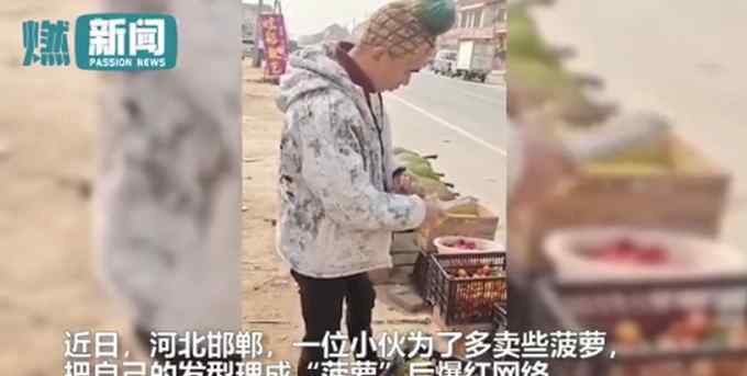 河北小伙为买菠萝理成菠萝头 效果立竿见影！一天能卖七八百斤